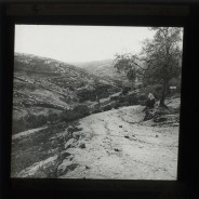 Böhl glass slide 62./2029